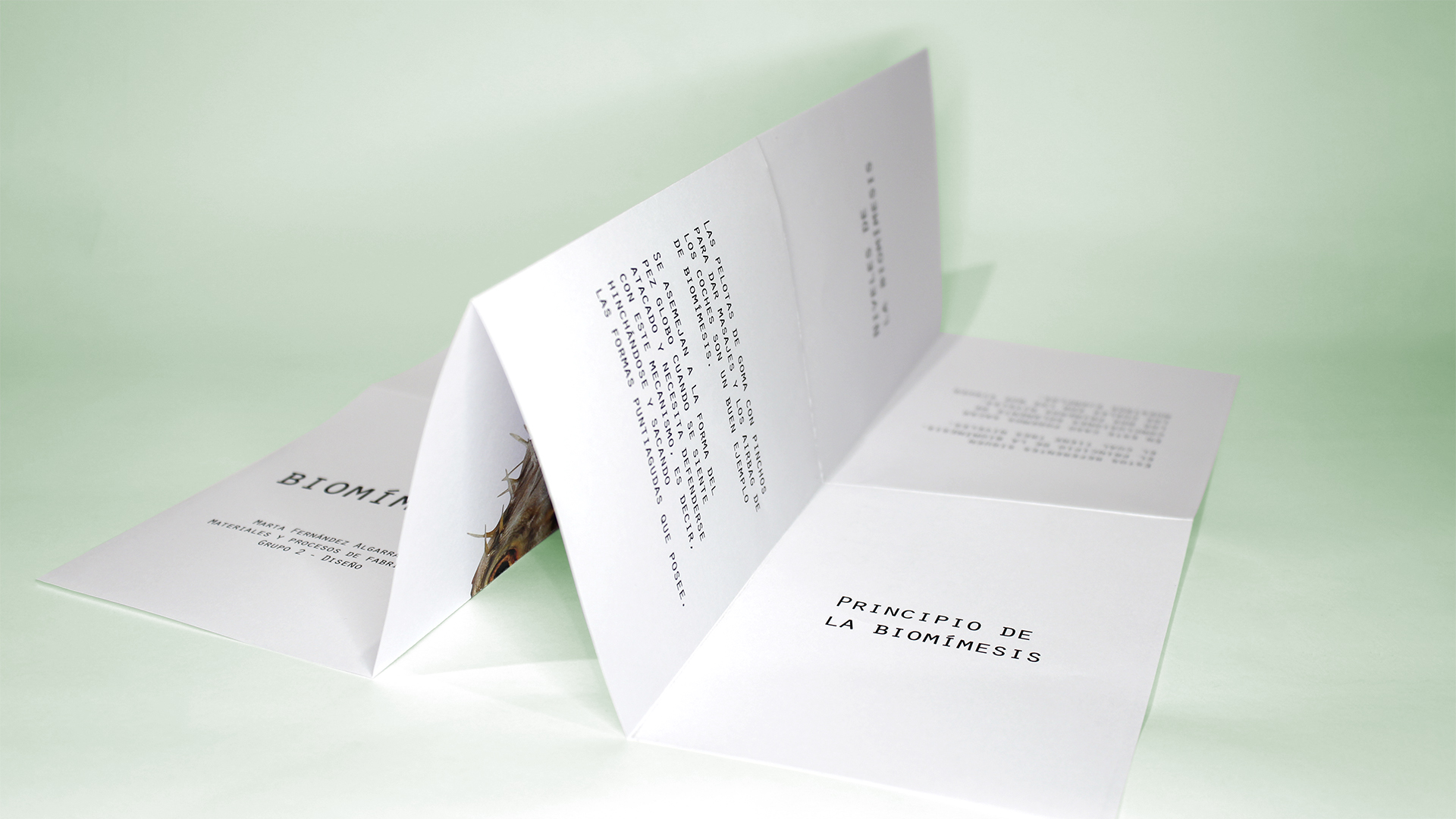Fotografía del instant book del Proyecto Biomímesis