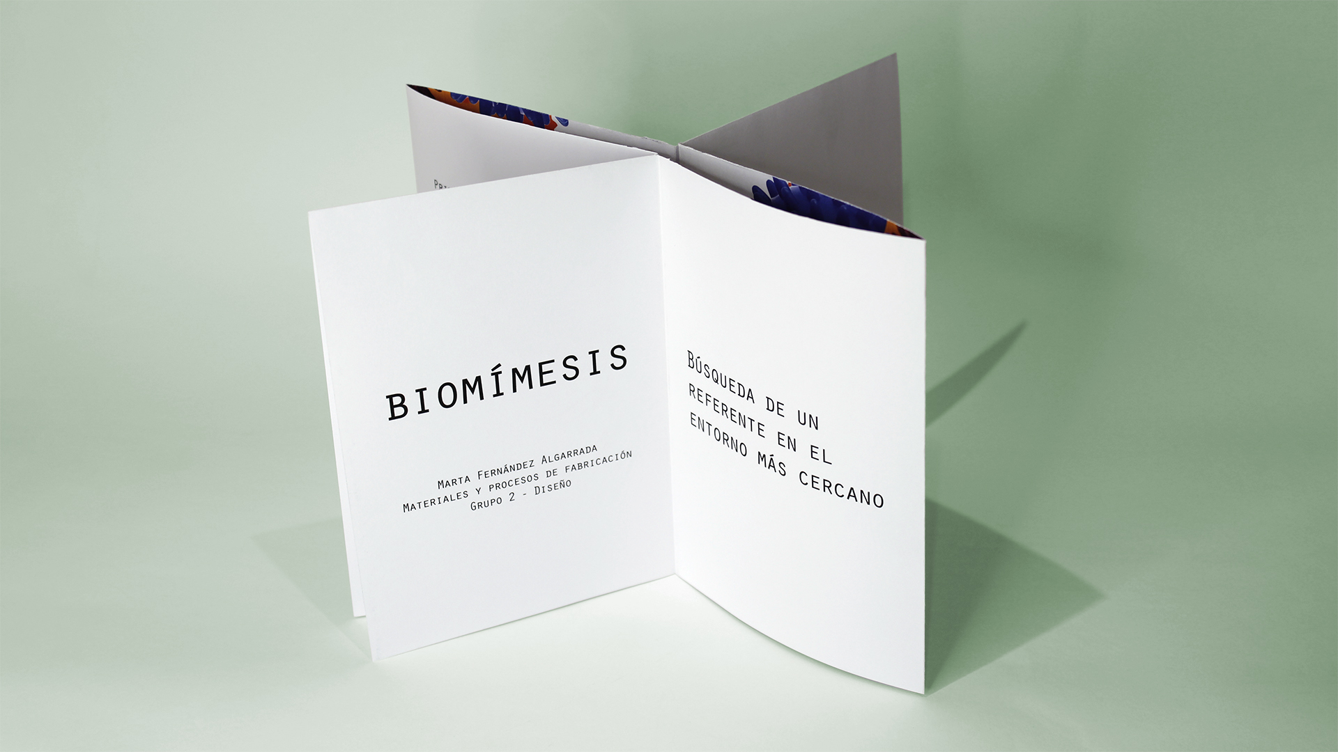 Fotografía del instant book del Proyecto Biomímesis