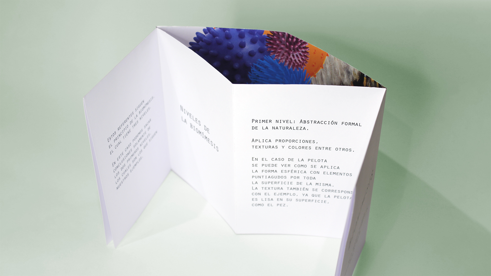 Fotografía del instant book del Proyecto Biomímesis