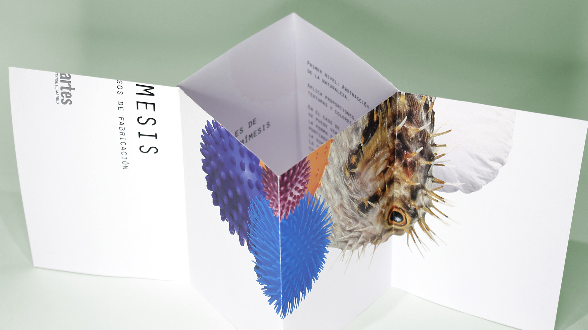 Fotografía del instant book del Proyecto Biomímesis