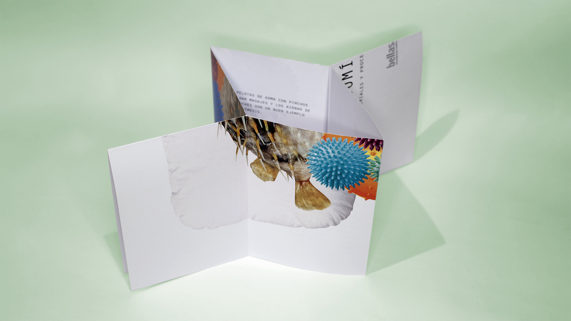 Fotografía del instant book del Proyecto Biomímesis